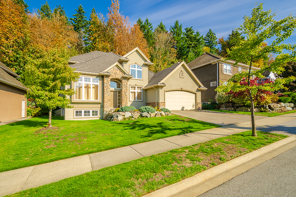 Shelley Property Management